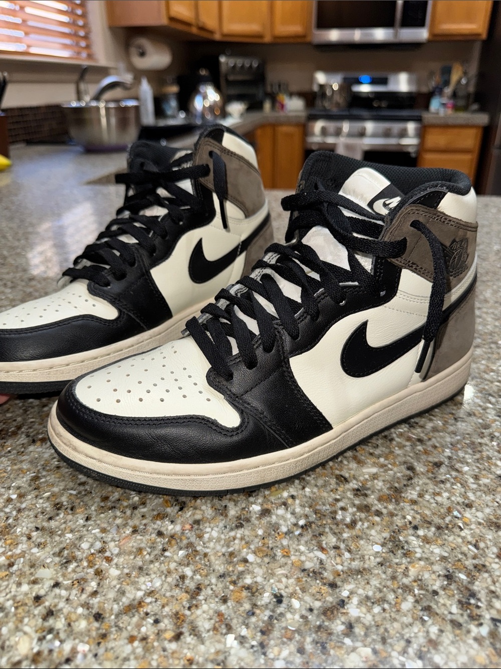 Nike Air Jordan 1 High Mocha